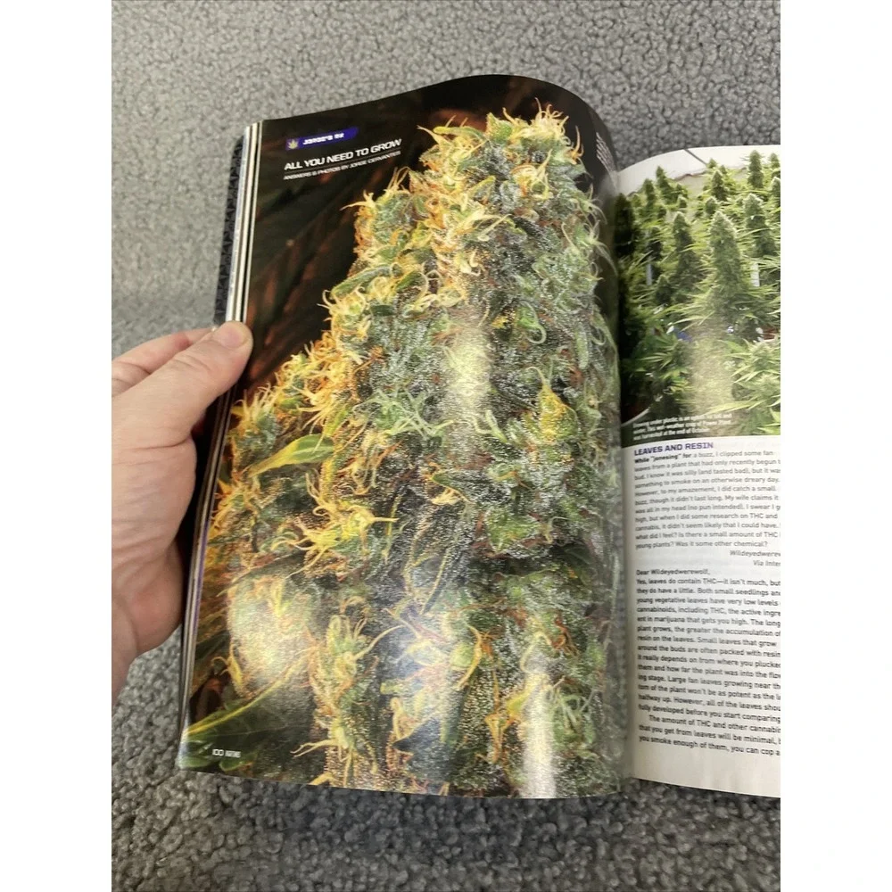 High Times‎ January 2009 Issue# 396 James Franco Stoner